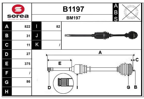 SNRA B1197