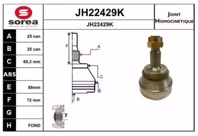 SNRA JH22429K