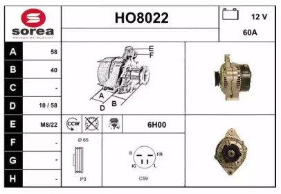 SNRA HO8022