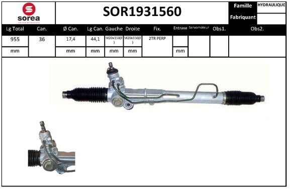 SNRA SOR1931560