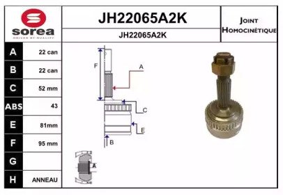 SNRA JH22065A2K