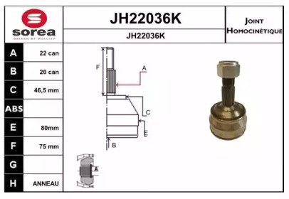 SNRA JH22036K