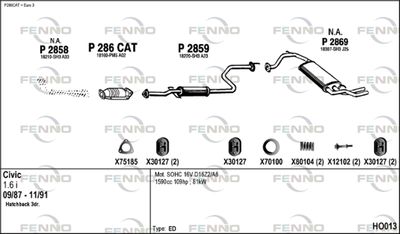 FENNO HO013