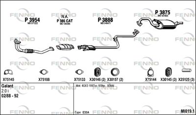 FENNO MI019.1