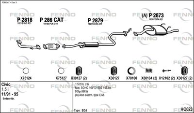 FENNO HO023