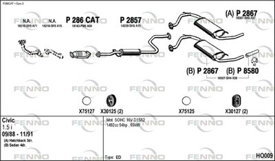 FENNO HO009