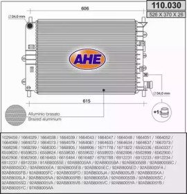 AHE 110.030