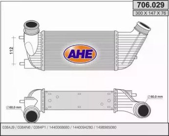 AHE 706.029