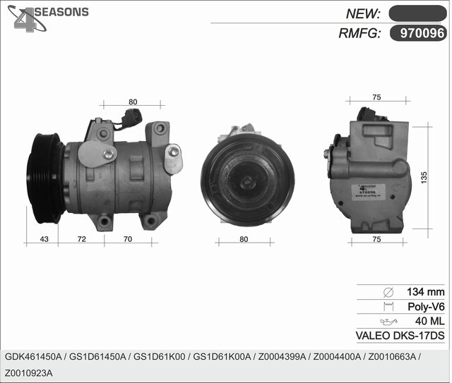 AHE 970096