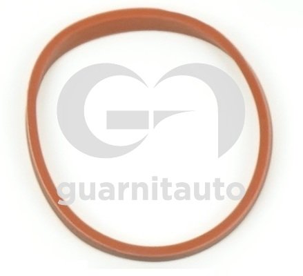 GUARNITAUTO 183592-8300