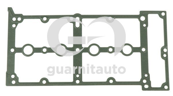 GUARNITAUTO 111081-5304