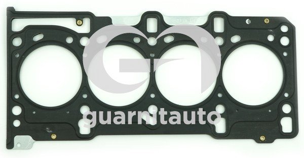 GUARNITAUTO 101081-5252