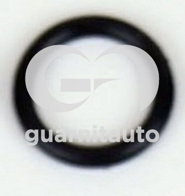 GUARNITAUTO 193688-8000