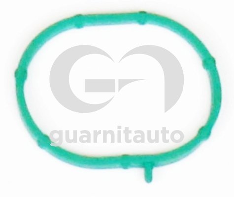 GUARNITAUTO 181514-8200