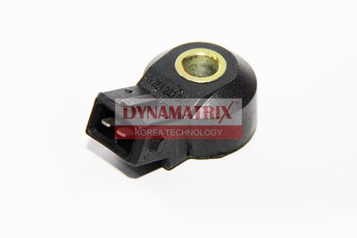DYNAMATRIX DS011