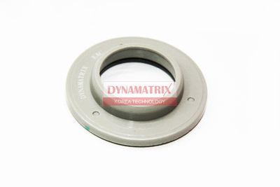 DYNAMATRIX DSAB-P12