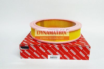 DYNAMATRIX DAF317