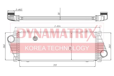 DYNAMATRIX DR96842