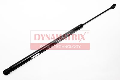DYNAMATRIX DGS018006