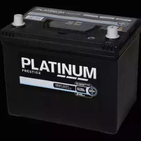 PLATINUM 030E