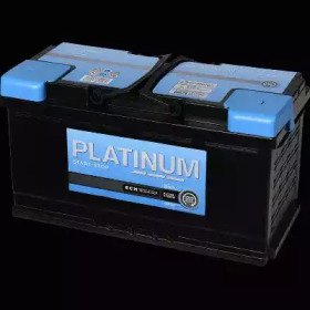 PLATINUM AGM019E