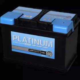 PLATINUM AGM096E