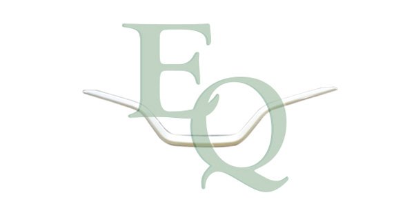 EQUAL QUALITY G3143