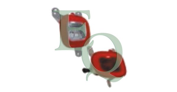 EQUAL QUALITY RN0239 EQUAL QUALITY RN0239