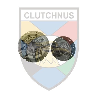 CLUTCHNUS MCK1954