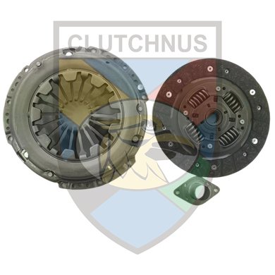 CLUTCHNUS MCK1951