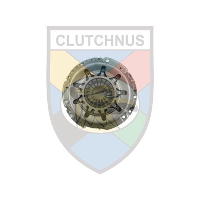 CLUTCHNUS SMPL62
