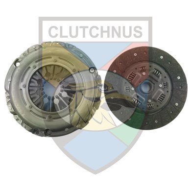 CLUTCHNUS MCK1956