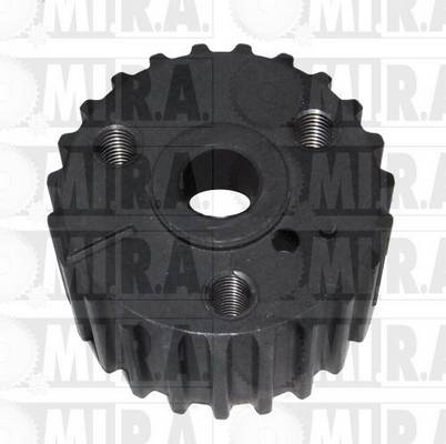 MI.R.A. 17/2481 MI.R.A. 17/2481