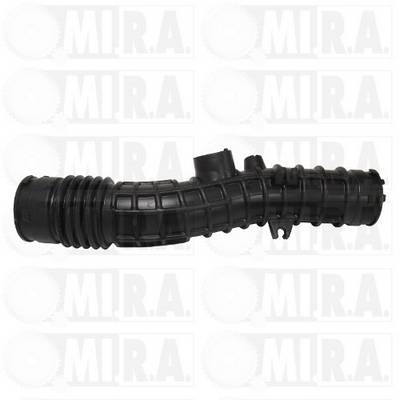 MI.R.A. 16/4251