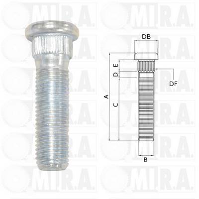 MI.R.A. 29/1736 MI.R.A. 29/1736