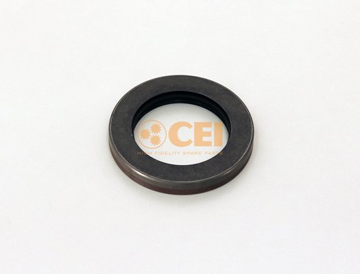 C.E.I. 239.175 C.E.I. 239.175