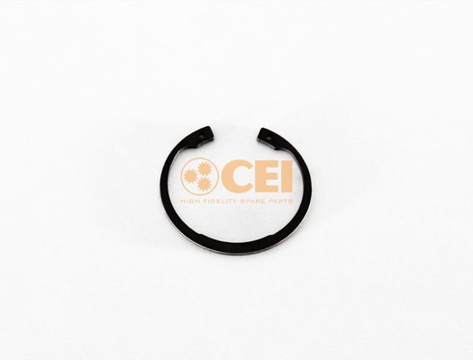 C.E.I. 111.274