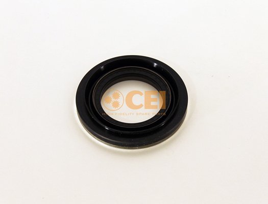 C.E.I. 239.046 C.E.I. 239.046