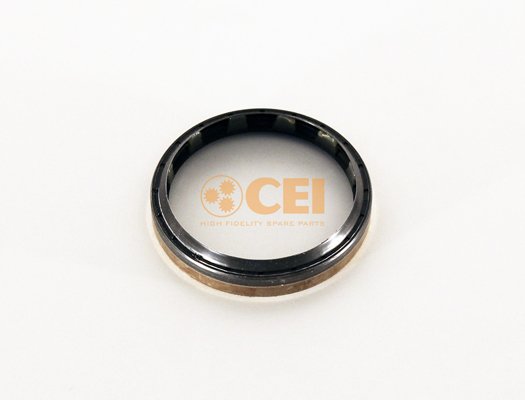 C.E.I. 239.234