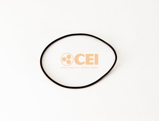 C.E.I. 239.351 C.E.I. 239.351