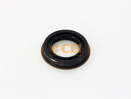 C.E.I. 239.053 C.E.I. 239.053