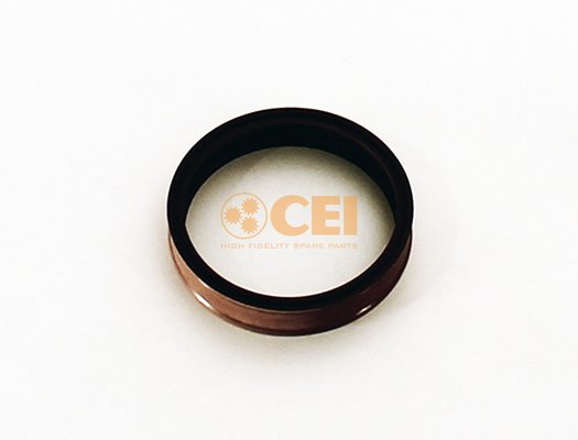 C.E.I. 139.817 C.E.I. 139.817