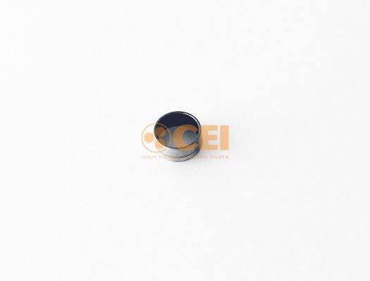 C.E.I. 117.362