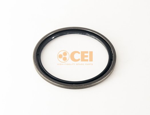 C.E.I. 239.363 C.E.I. 239.363