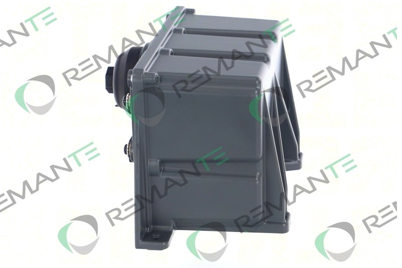 REMANTE 002-020-000019R REMANTE 002-020-000019R