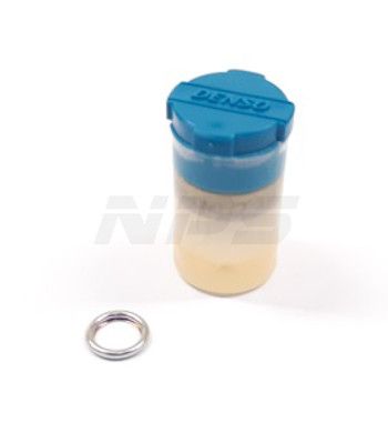 NPS T924A11 NPS T924A11