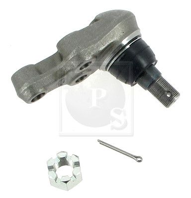 NPS I420U10