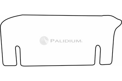 ASHUKI by Palidium PAL18-1859