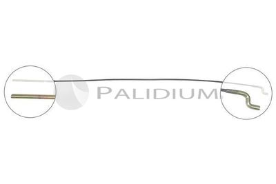 ASHUKI by Palidium PAL3-1008