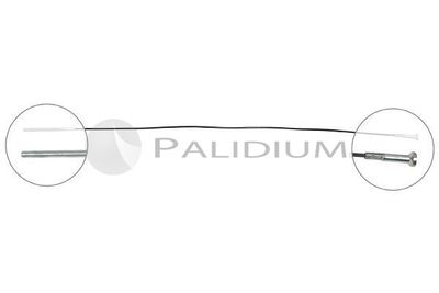 ASHUKI by Palidium PAL3-1034